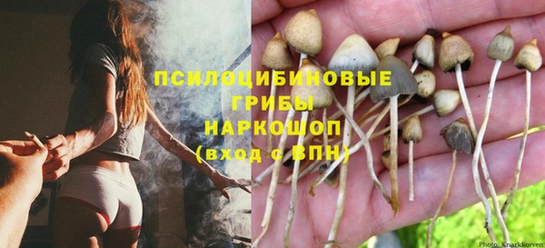 дмт Армянск