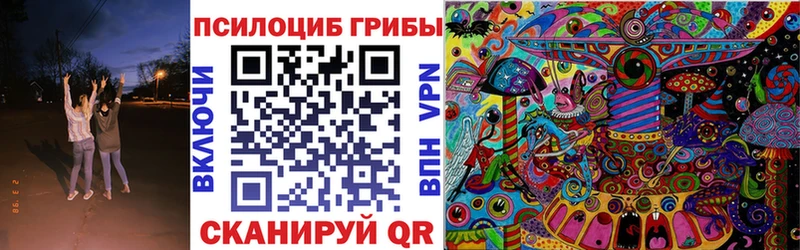 MEGA как зайти  Мариинский Посад  Псилоцибиновые грибы мицелий 